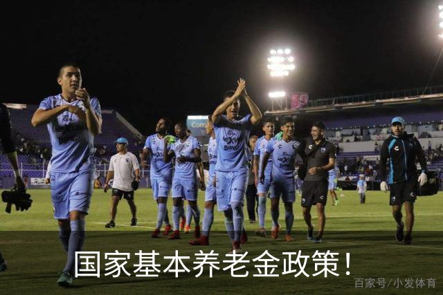 国家基本养老金政策！