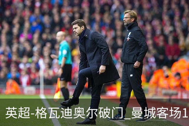 英超-格瓦迪奥尔破门 曼城客场1-2伯恩茅斯